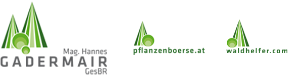 waldhelfer.com